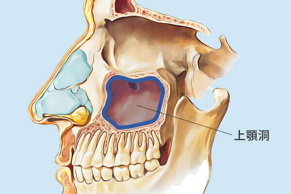 ��{���̃C���X�g